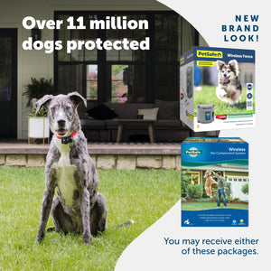 A happy dog enjoying their yard and 2 packaging options you may receive PetSafe has a new brand look Over 11 million dogs protected